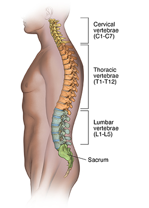 Acute Spinal Cord Injury (SCI) | Spectrum Health Lakeland